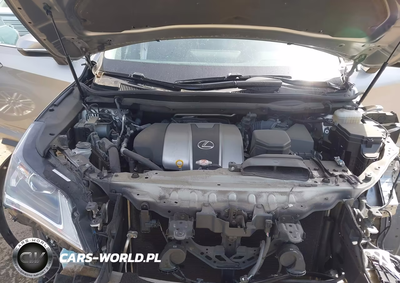 2019 Lexus Rx 350L Premium VIN:JTJDZKCA2K2019466 - 10