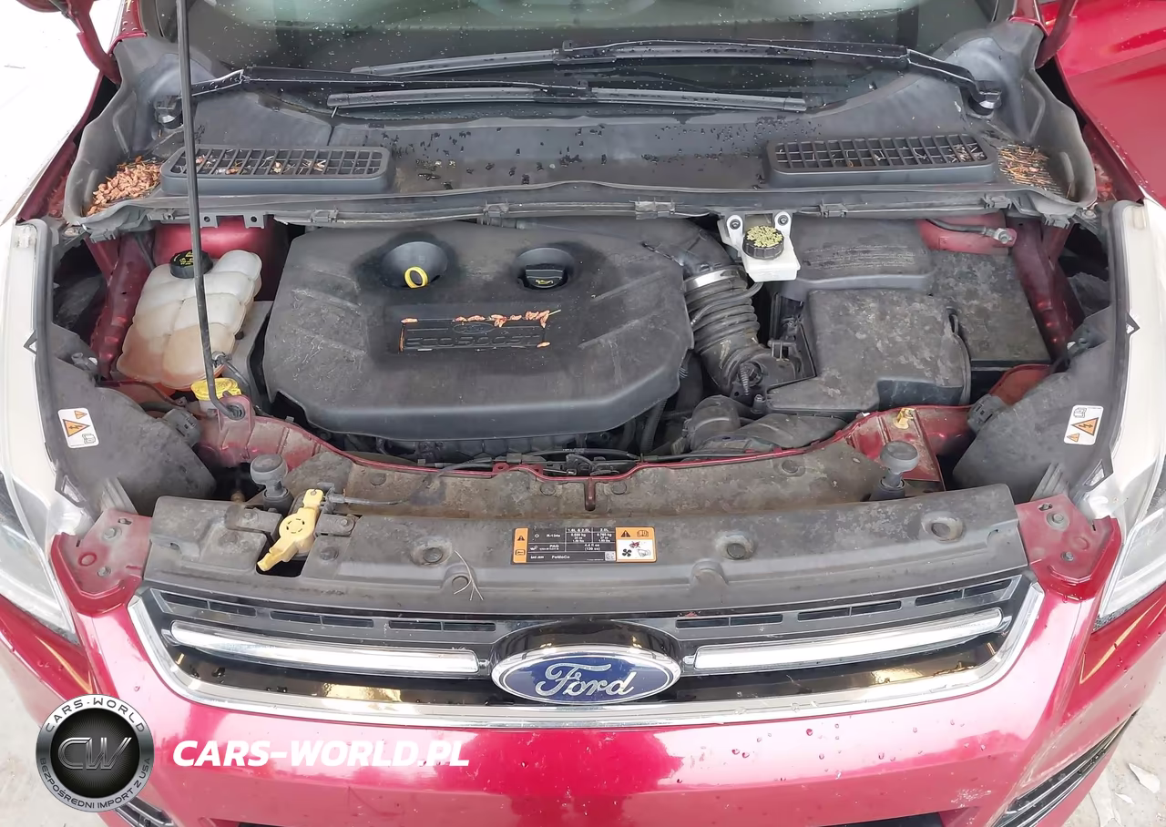 2014 Ford Escape Titanium VIN:1FMCU9J92EUC04183 - 10