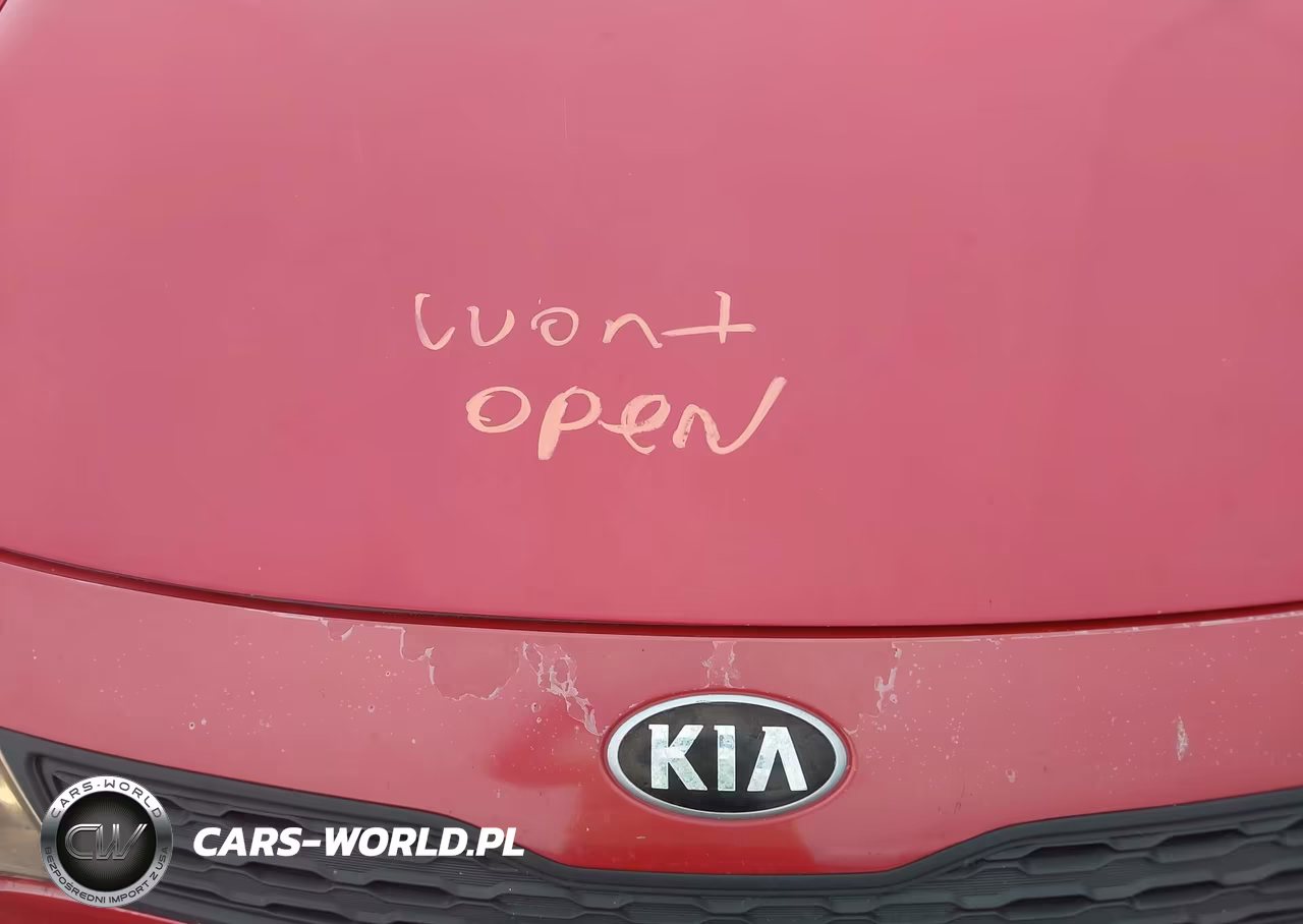 2015 Kia Rio Lx VIN:KNADM5A32F6456385 - 10