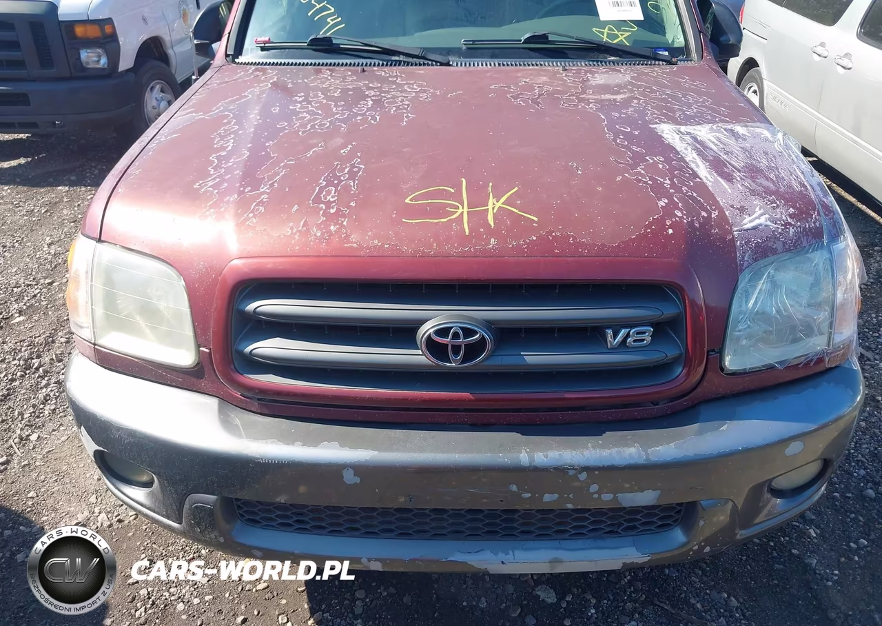 2003 Toyota Sequoia Sr5 V8 VIN:5TDBT44A03S178809 - 10
