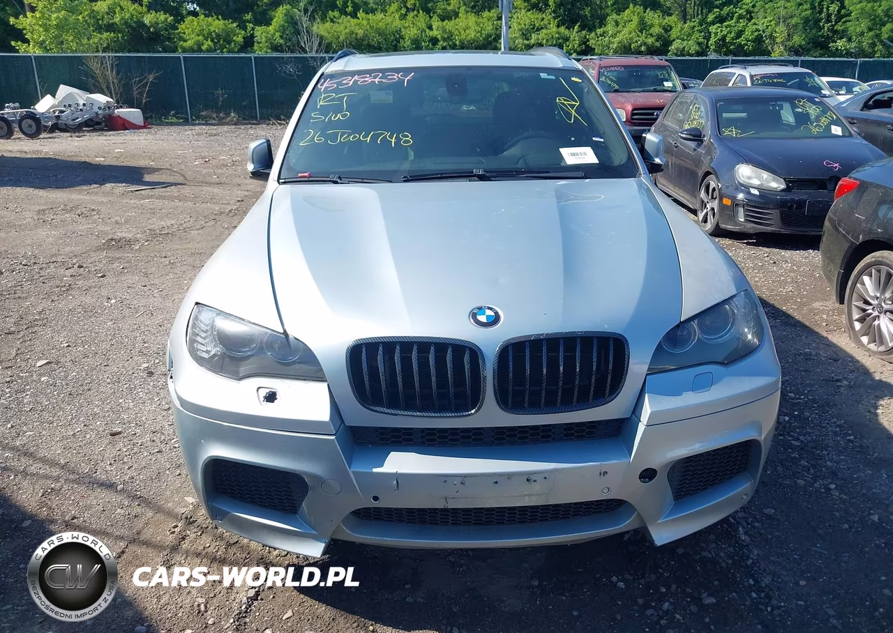 2010 BMW X5 M VIN:5YMGY0C58ALK25224 - 11