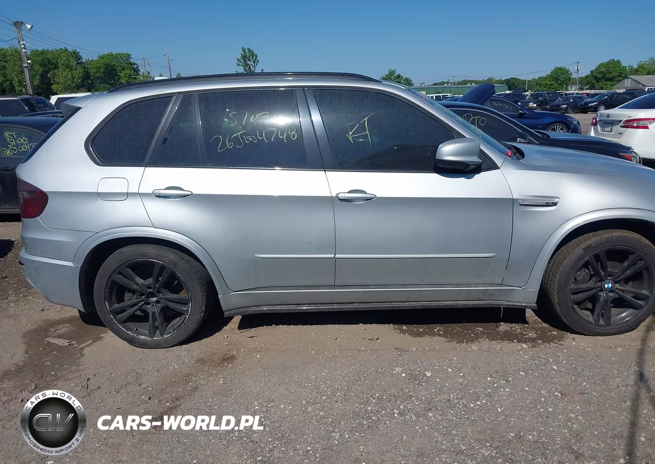 2010 BMW X5 M VIN:5YMGY0C58ALK25224 - 12