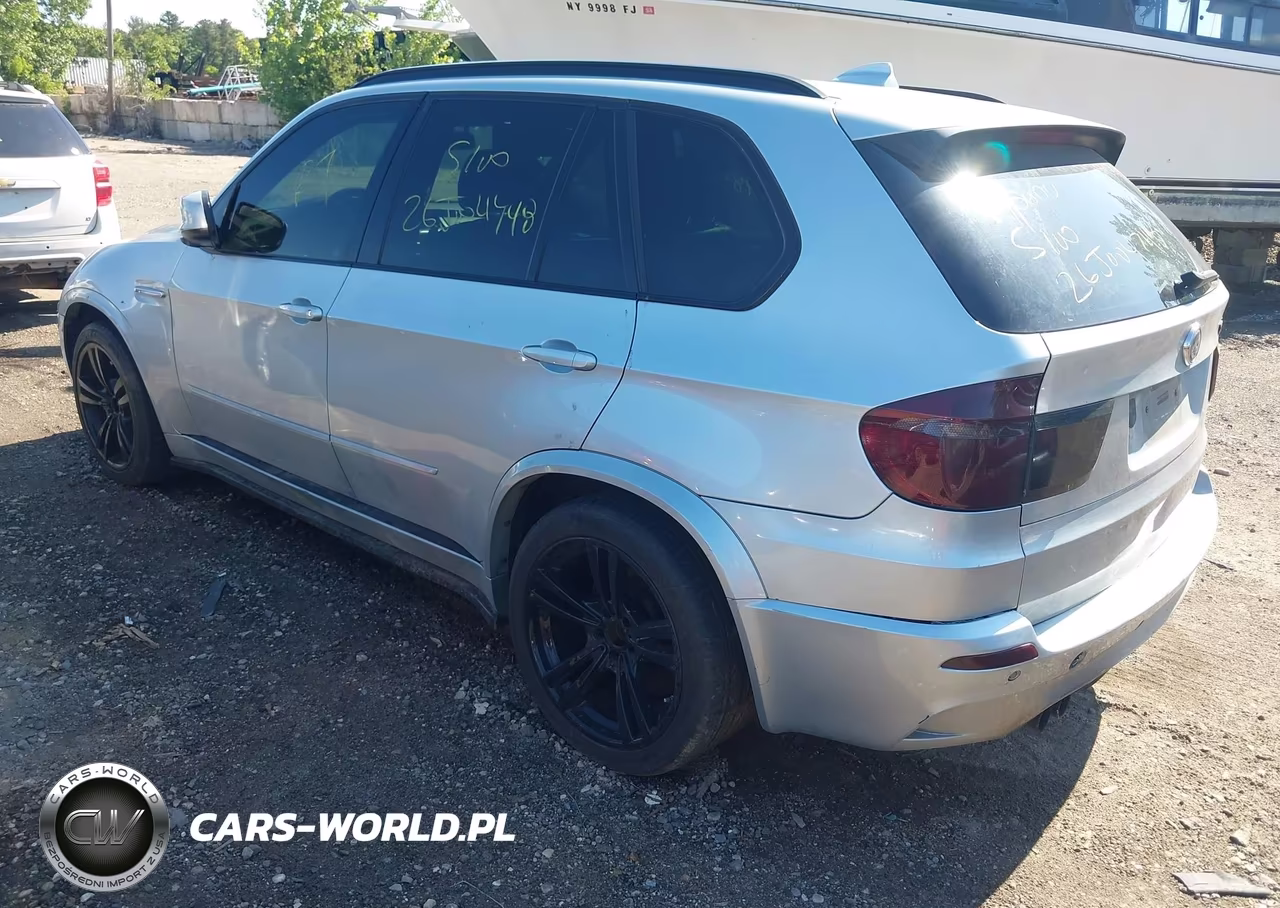 2010 BMW X5 M VIN:5YMGY0C58ALK25224 - 3