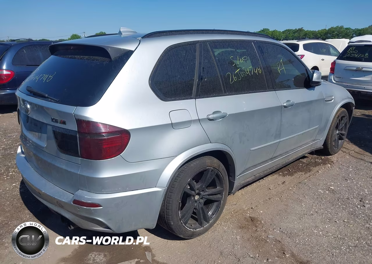 2010 BMW X5 M VIN:5YMGY0C58ALK25224 - 4