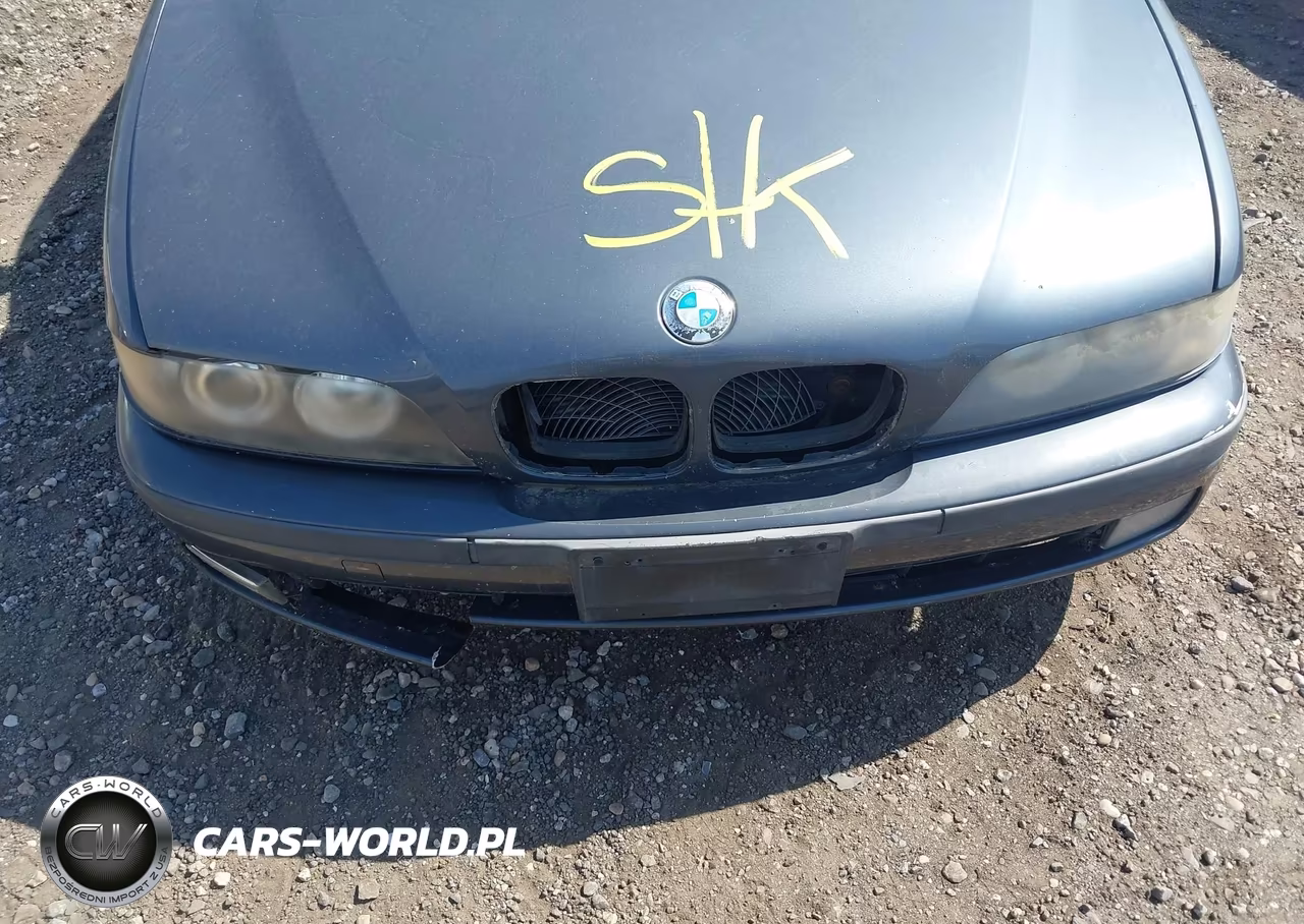 2000 BMW 540Ia VIN:WBADN6343YGM69412 - 10
