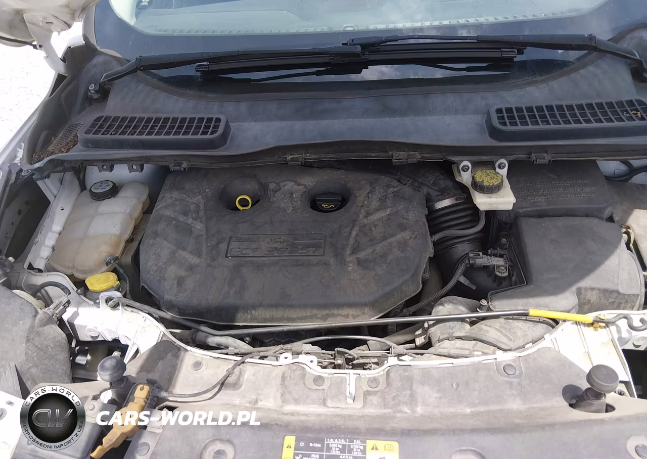 2013 Ford Escape Sel VIN:1FMCU9H94DUB66296 - 10