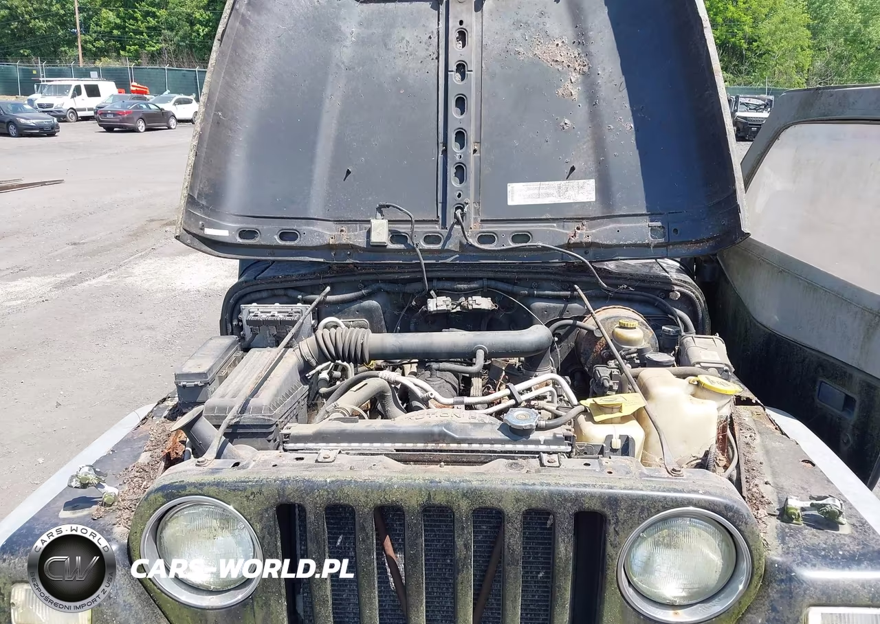 2002 Jeep Wrangler X VIN:1J4FA39S52P754304 - 10
