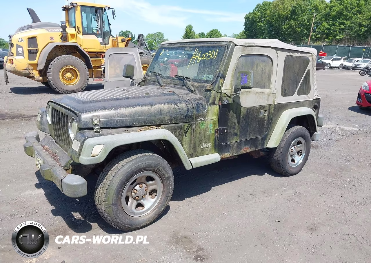 2002 Jeep Wrangler X VIN:1J4FA39S52P754304 - 2