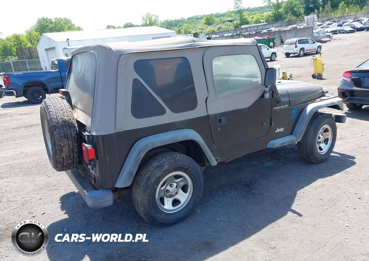 2002 Jeep Wrangler X VIN:1J4FA39S52P754304 - 4