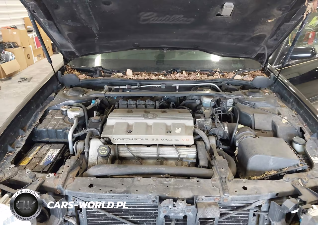 1997 Cadillac Deville Standard VIN:1G6KD54Y4VU273746 - 10
