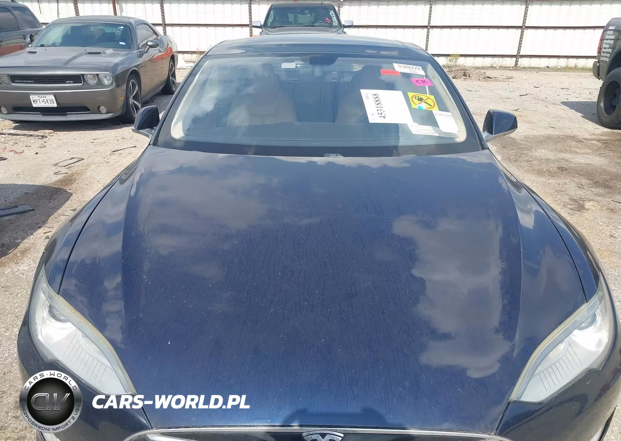 2012 Tesla Model S Signature VIN:5YJSA1CN3CFP03116 - 10