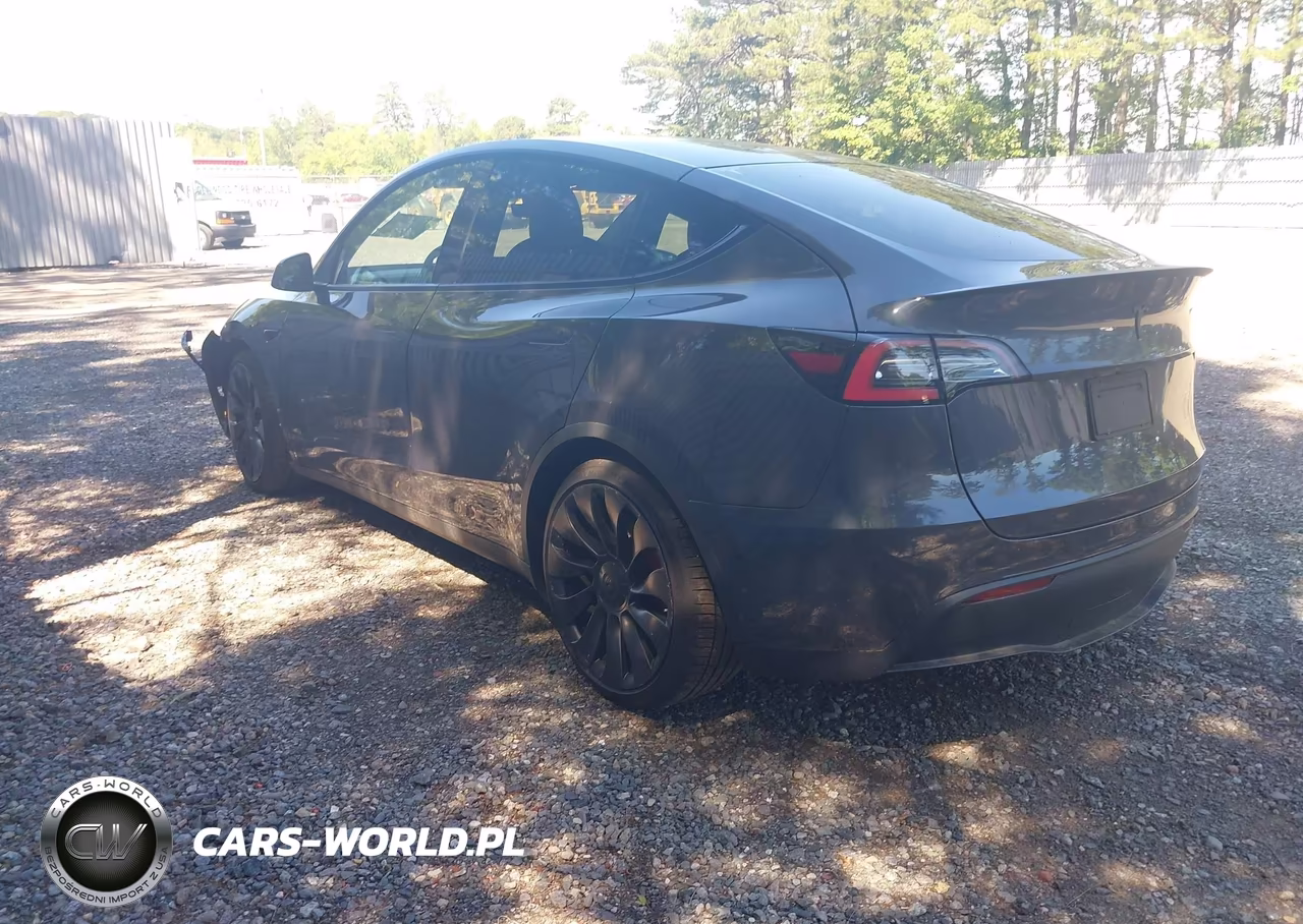 2021 Tesla Model Y Performance Dual Motor All-Wheel Drive VIN:5YJYGDEF5MF121536 - 3