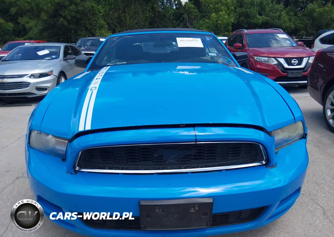 2010 Ford Mustang V6-V6 Premium VIN:1ZVBP8EN4A5167583 - 12