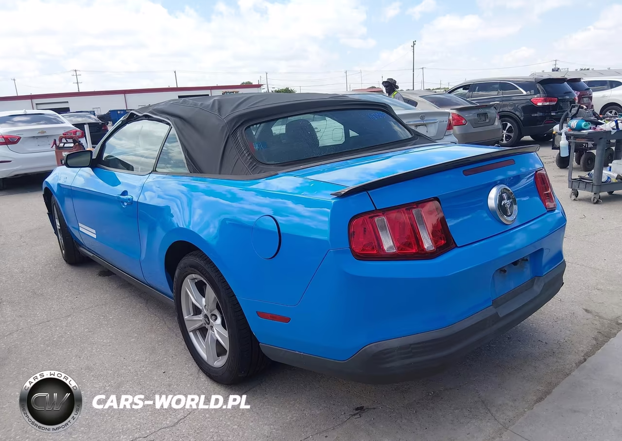 2010 Ford Mustang V6-V6 Premium VIN:1ZVBP8EN4A5167583 - 3
