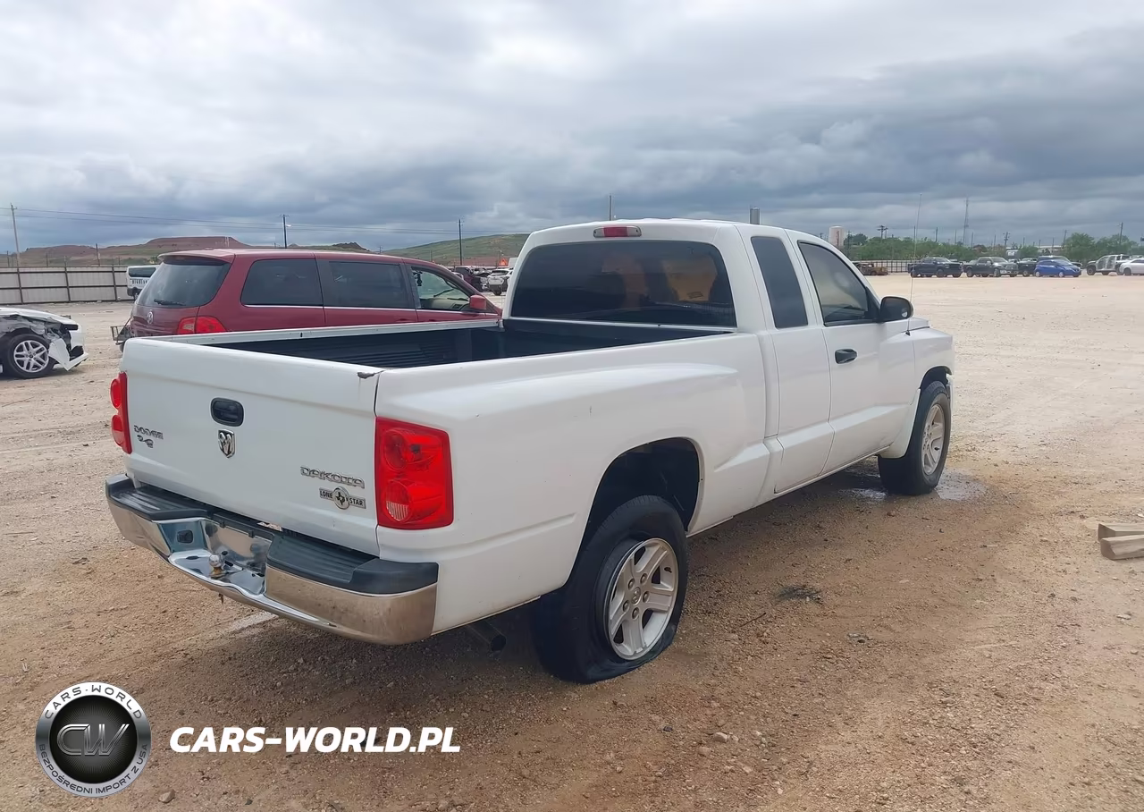 2010 Dodge Dakota Bighorn-Lonestar VIN:1D7CE3BKXAS199438 - 4