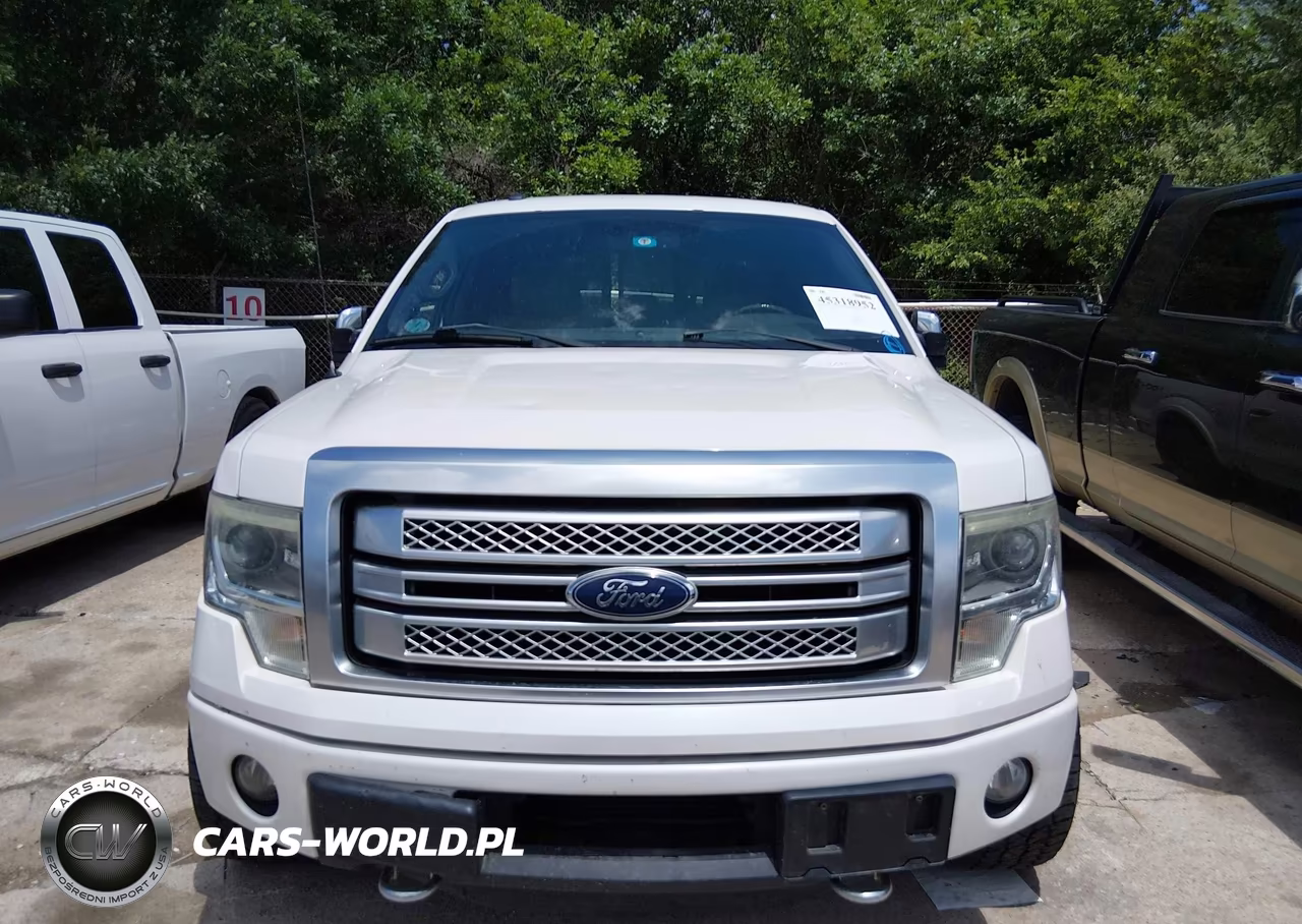 2013 Ford F-150 Platinum VIN:1FTFW1ET0DFA15506 - 12