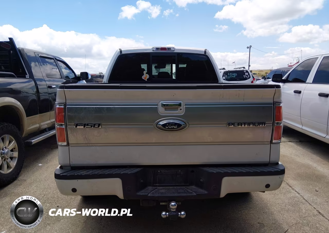 2013 Ford F-150 Platinum VIN:1FTFW1ET0DFA15506 - 16