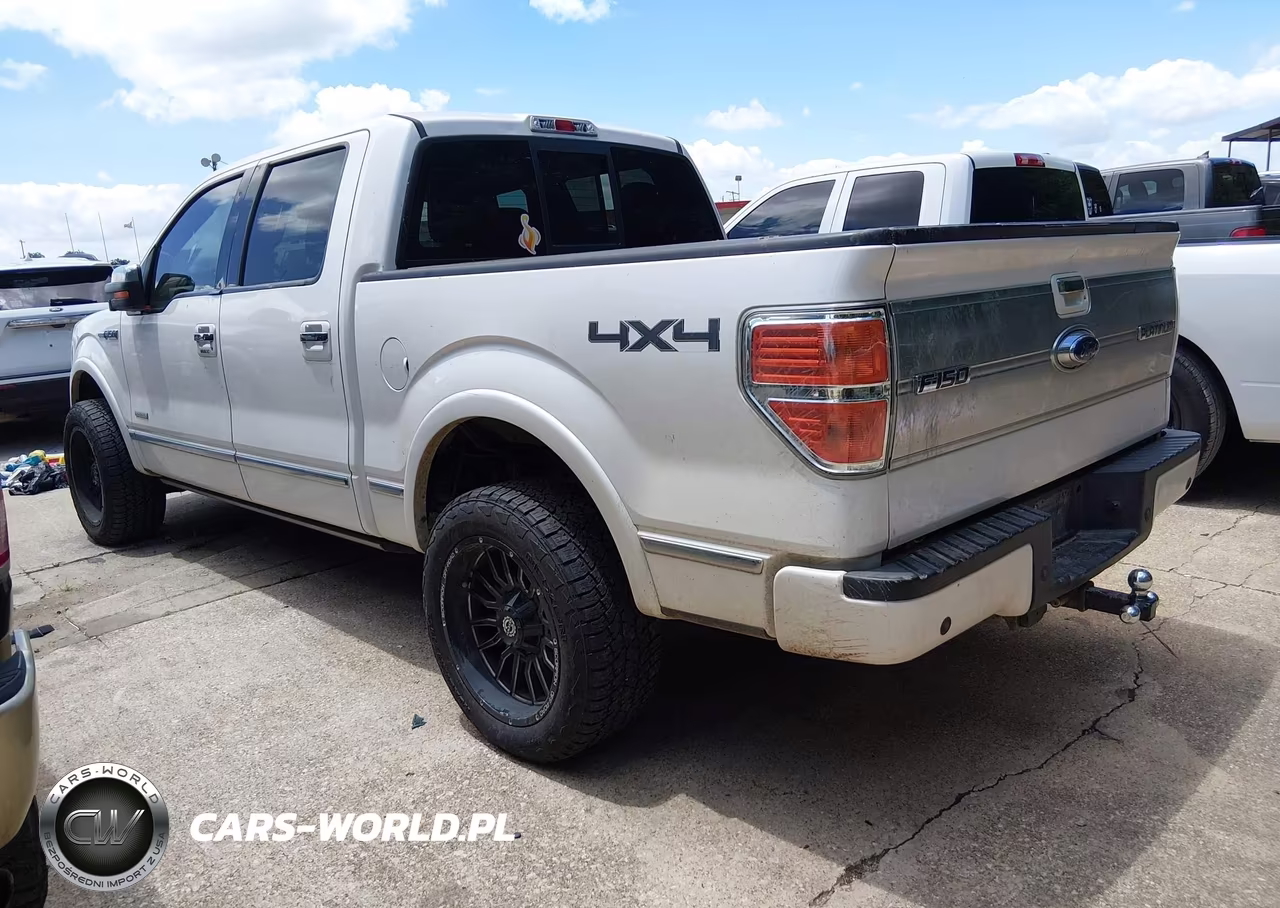 2013 Ford F-150 Platinum VIN:1FTFW1ET0DFA15506 - 3