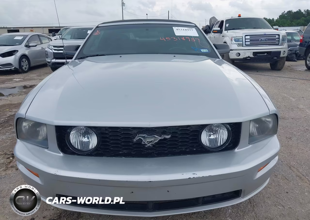 2006 Ford Mustang Gt VIN:1ZVFT85H165163554 - 12