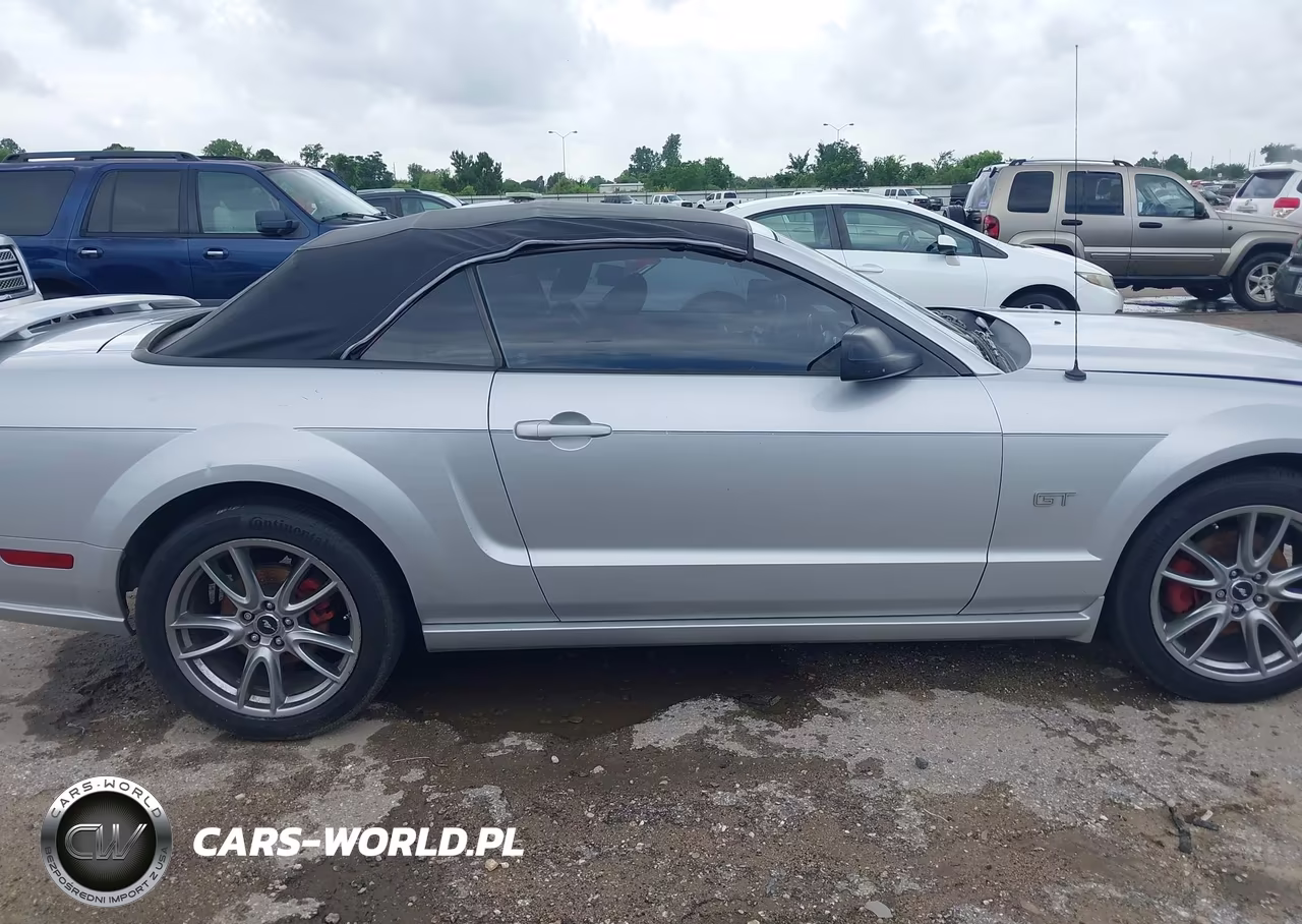 2006 Ford Mustang Gt VIN:1ZVFT85H165163554 - 13