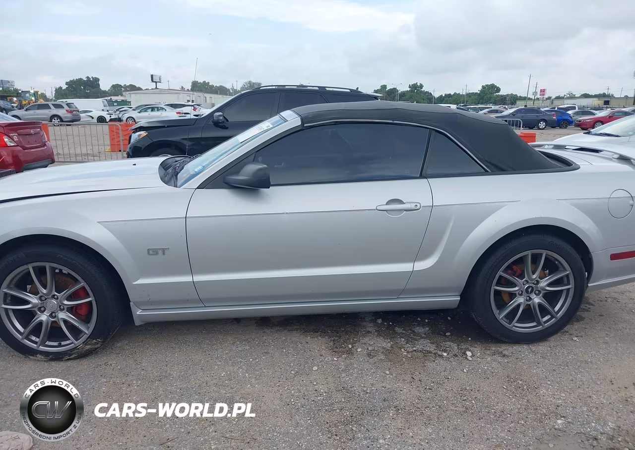 2006 Ford Mustang Gt VIN:1ZVFT85H165163554 - 14