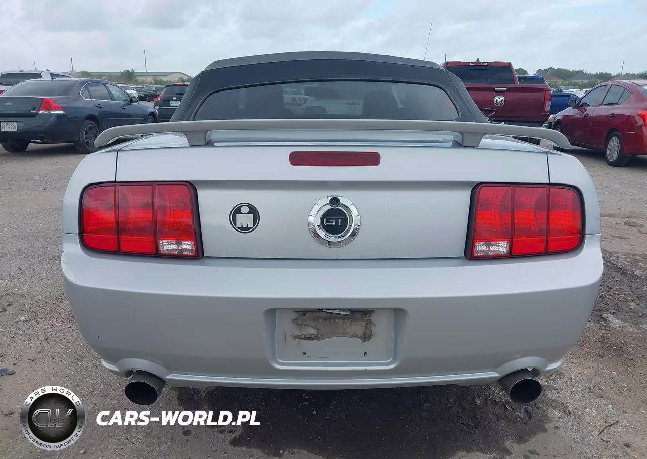 2006 Ford Mustang Gt VIN:1ZVFT85H165163554 - 16