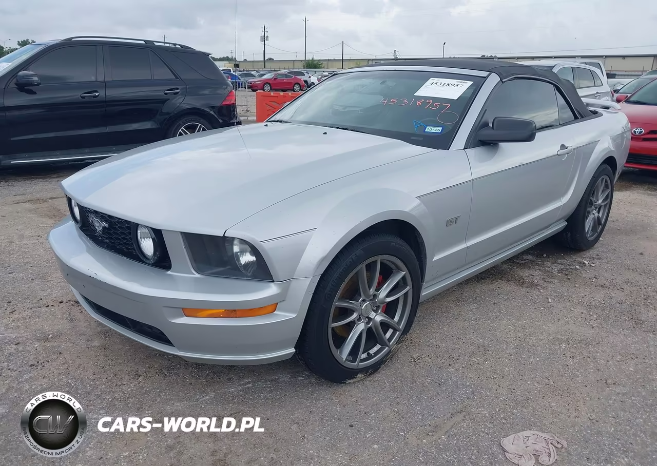 2006 Ford Mustang Gt VIN:1ZVFT85H165163554 - 2