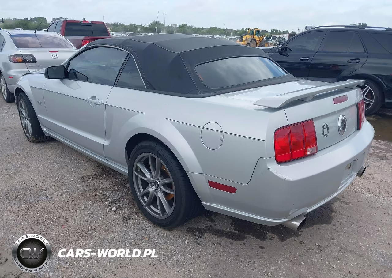 2006 Ford Mustang Gt VIN:1ZVFT85H165163554 - 3