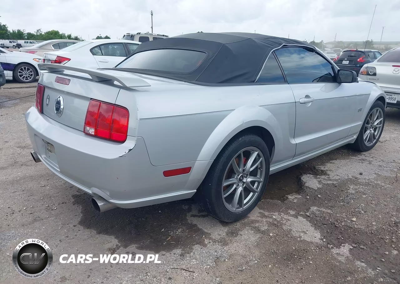 2006 Ford Mustang Gt VIN:1ZVFT85H165163554 - 4
