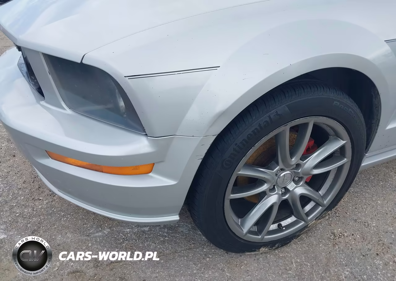 2006 Ford Mustang Gt VIN:1ZVFT85H165163554 - 6
