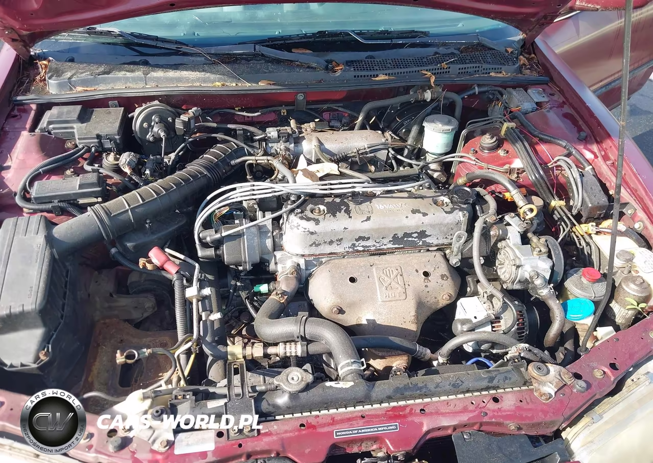 1994 Honda Accord Lx-Ex VIN:1HGCD5647RA030999 - 10