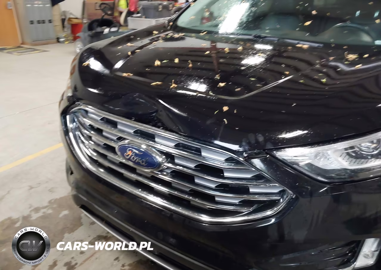 2019 Ford Edge Sel VIN:2FMPK4J97KBC19015 - 6