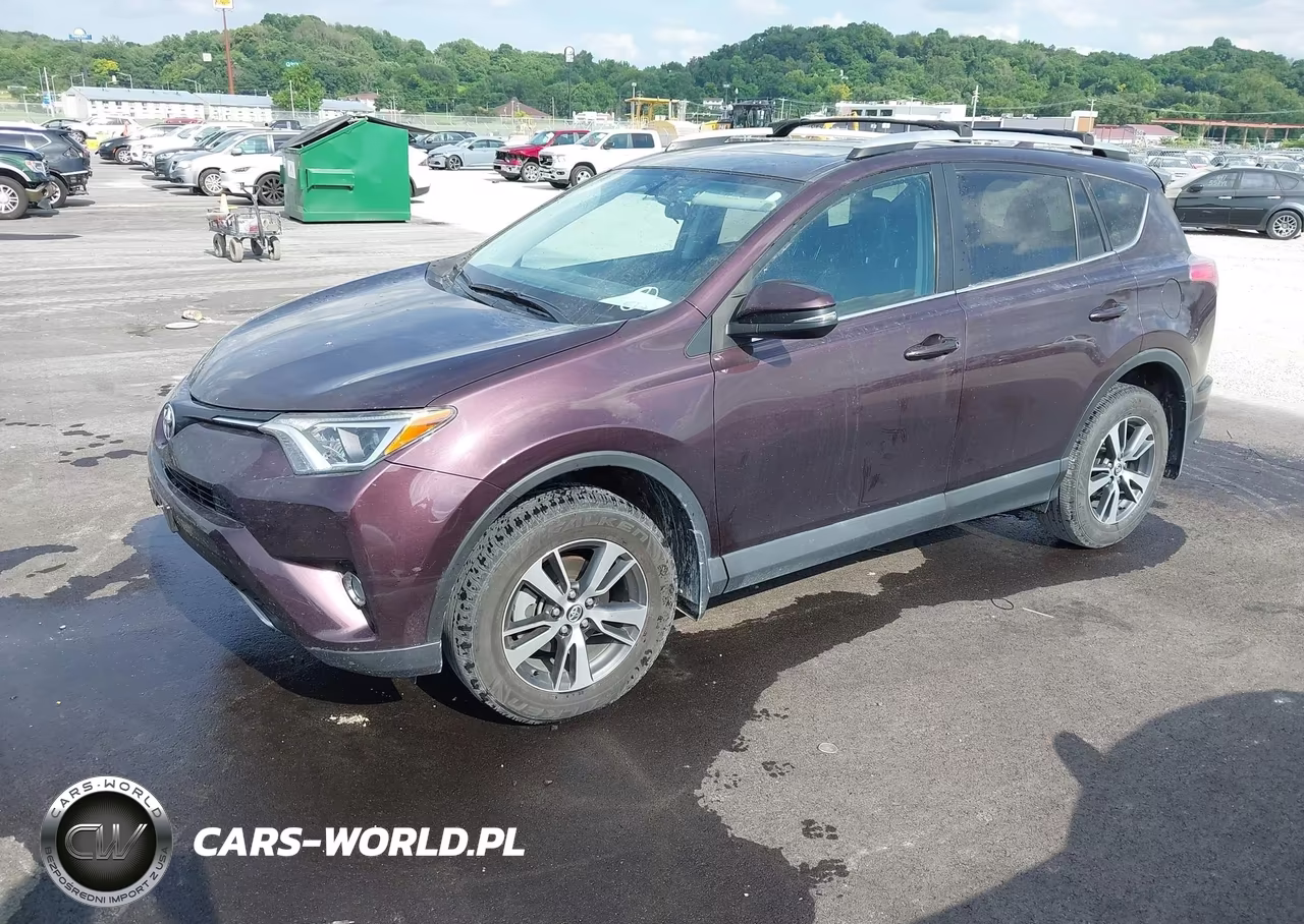 2016 Toyota Rav4 Xle VIN:2T3WFREV0GW277626 - 2