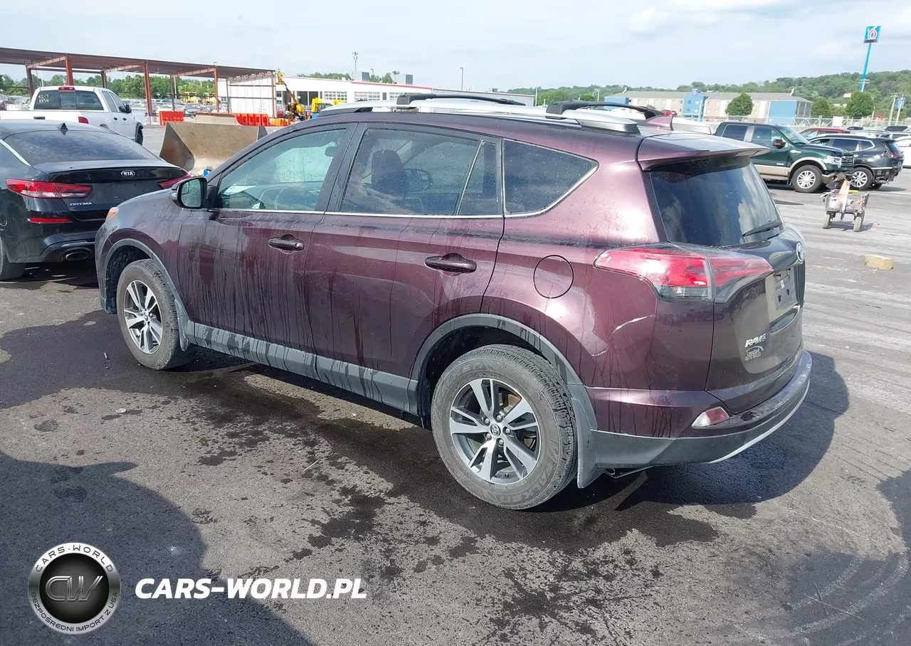 2016 Toyota Rav4 Xle VIN:2T3WFREV0GW277626 - 3