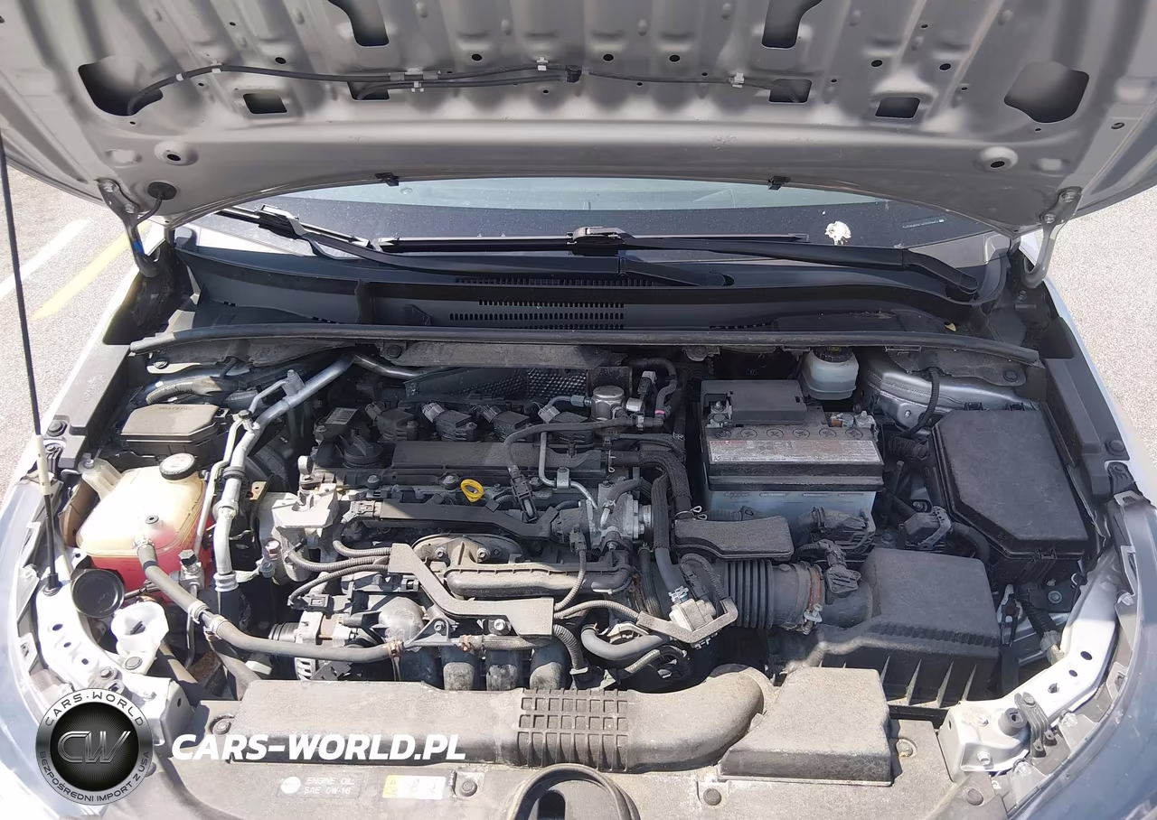 2019 Toyota Corolla Se VIN:JTNK4RBE1K3003660 - 10