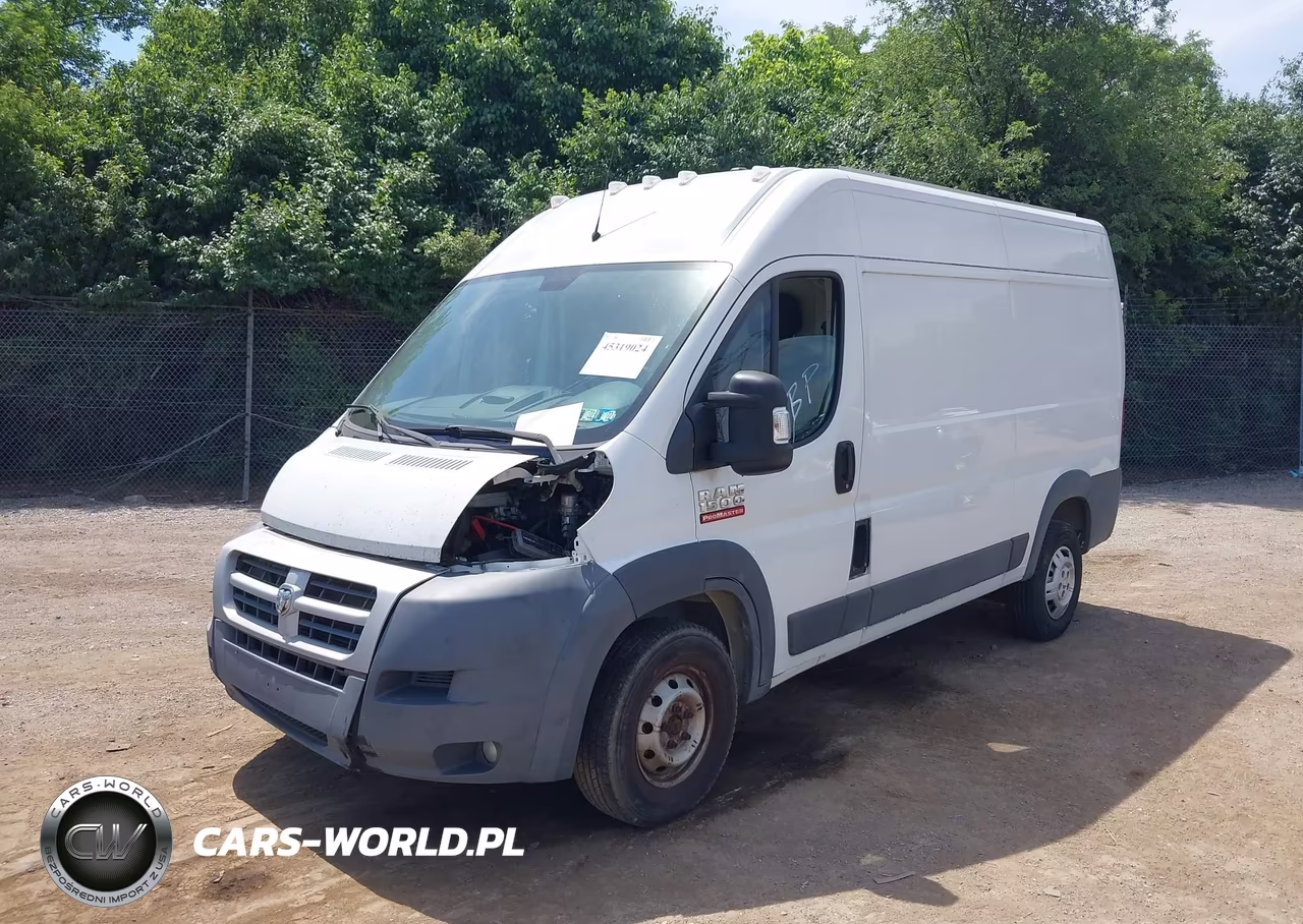 2014 Ram Promaster 1500 VIN:3C6TRVBG9EE113719 - 2