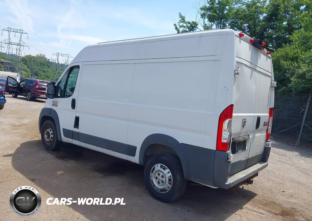 2014 Ram Promaster 1500 VIN:3C6TRVBG9EE113719 - 3