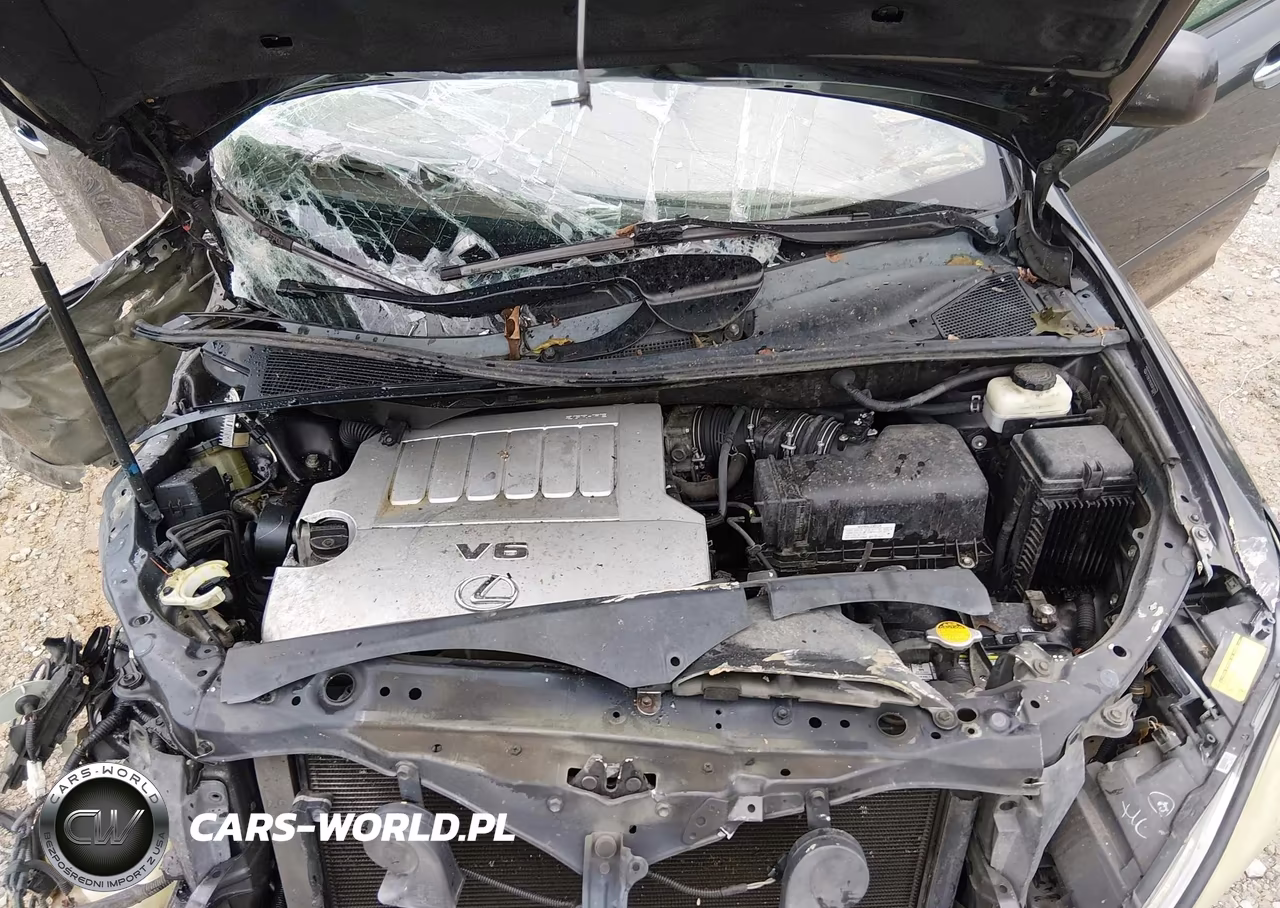 2009 Lexus Rx 350 VIN:2T2GK31U39C074250 - 10
