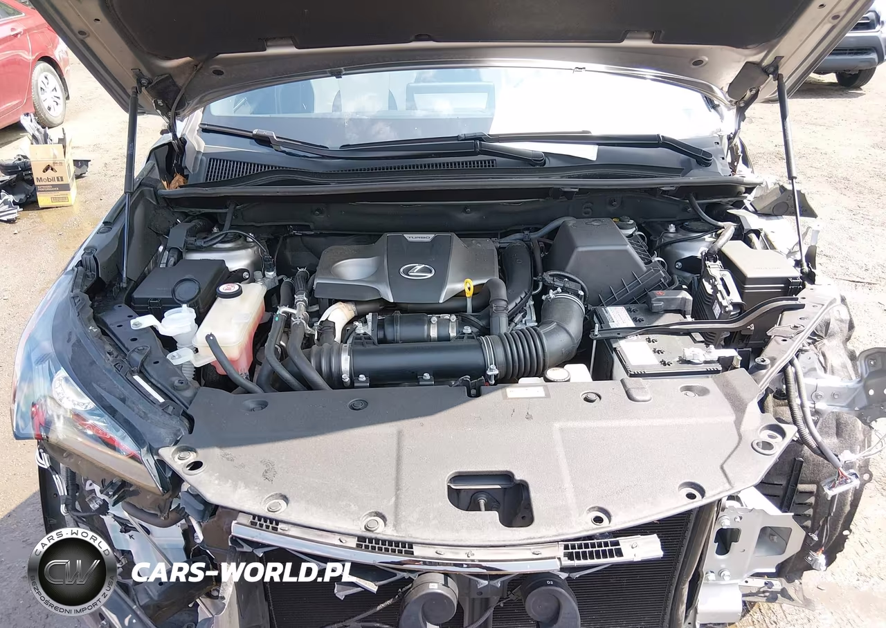 2020 Lexus Nx 300 F Sport VIN:JTJSARDZ7L5002948 - 10