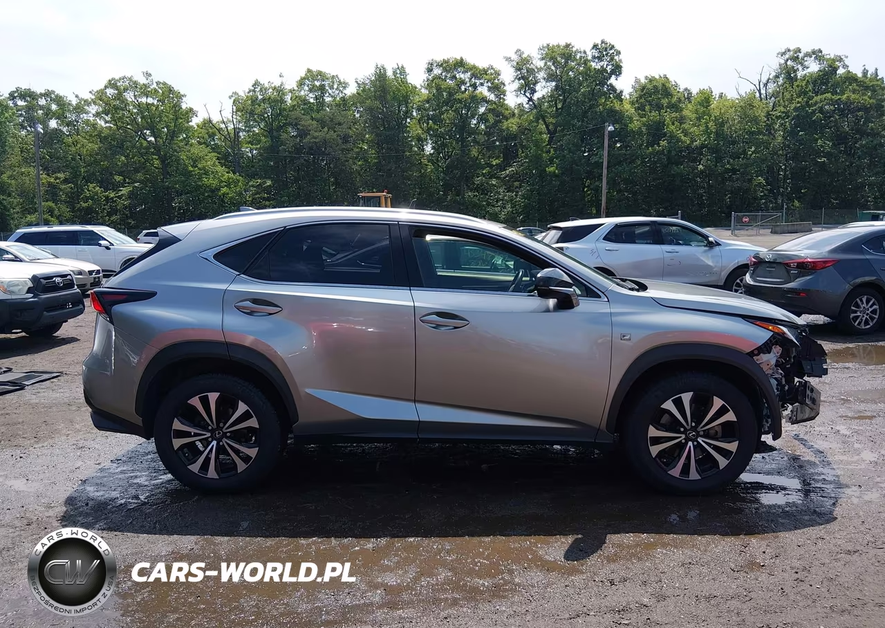 2020 Lexus Nx 300 F Sport VIN:JTJSARDZ7L5002948 - 14