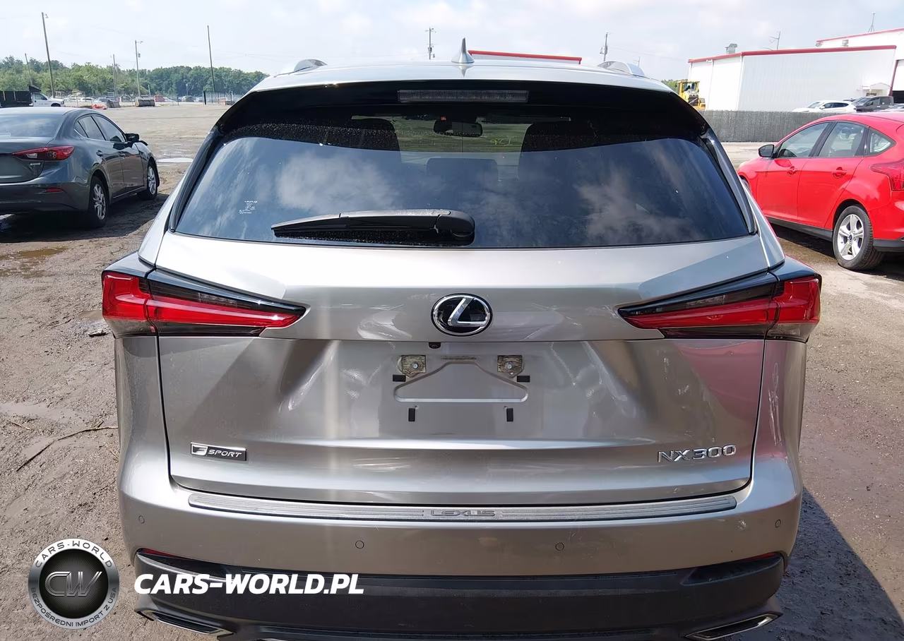 2020 Lexus Nx 300 F Sport VIN:JTJSARDZ7L5002948 - 17