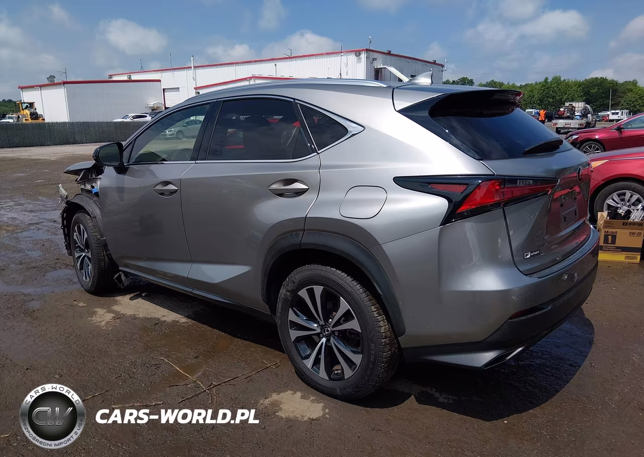 2020 Lexus Nx 300 F Sport VIN:JTJSARDZ7L5002948 - 3