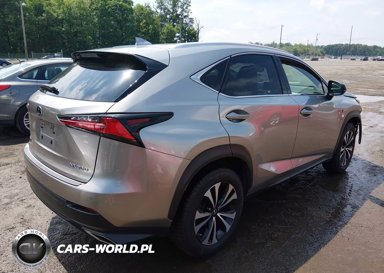 2020 Lexus Nx 300 F Sport VIN:JTJSARDZ7L5002948 - 4