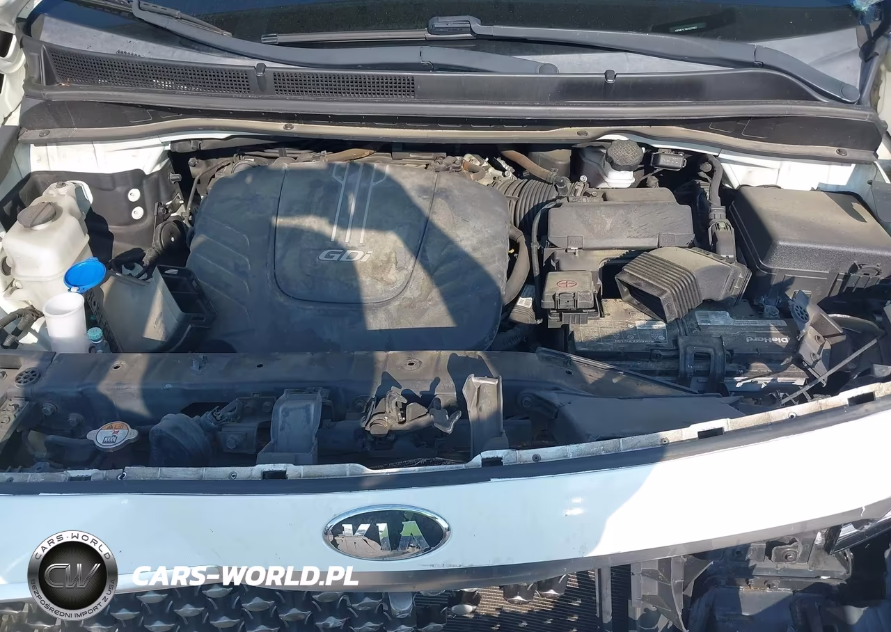 2015 Kia Sedona Sx Luxury VIN:KNDME5C16F6029187 - 10