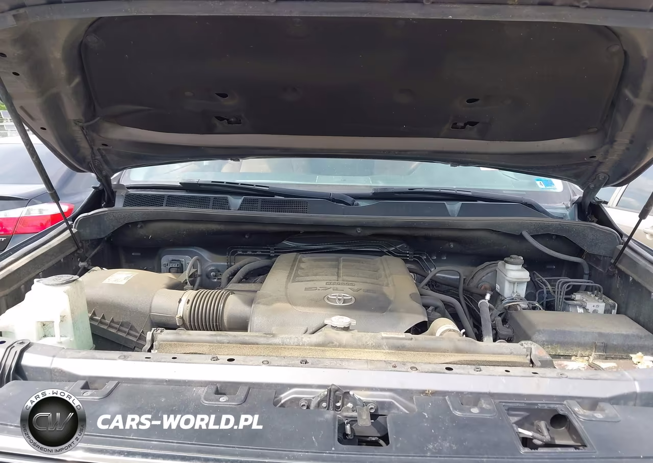2020 Toyota Tundra 1794 Edition VIN:5TFAY5F13LX917326 - 10