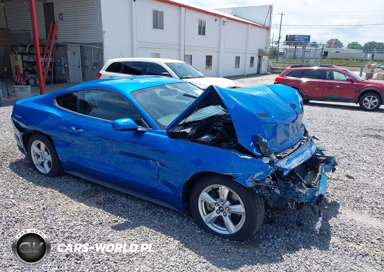 2019 Ford Mustang Ecoboost