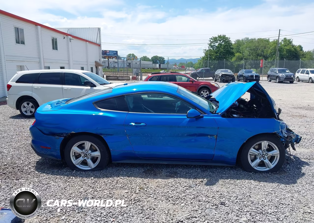 2019 Ford Mustang Ecoboost VIN:1FA6P8TH8K5204157 - 13