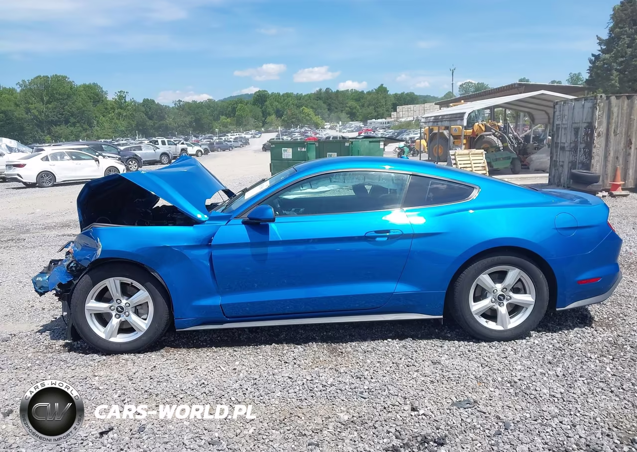 2019 Ford Mustang Ecoboost VIN:1FA6P8TH8K5204157 - 14