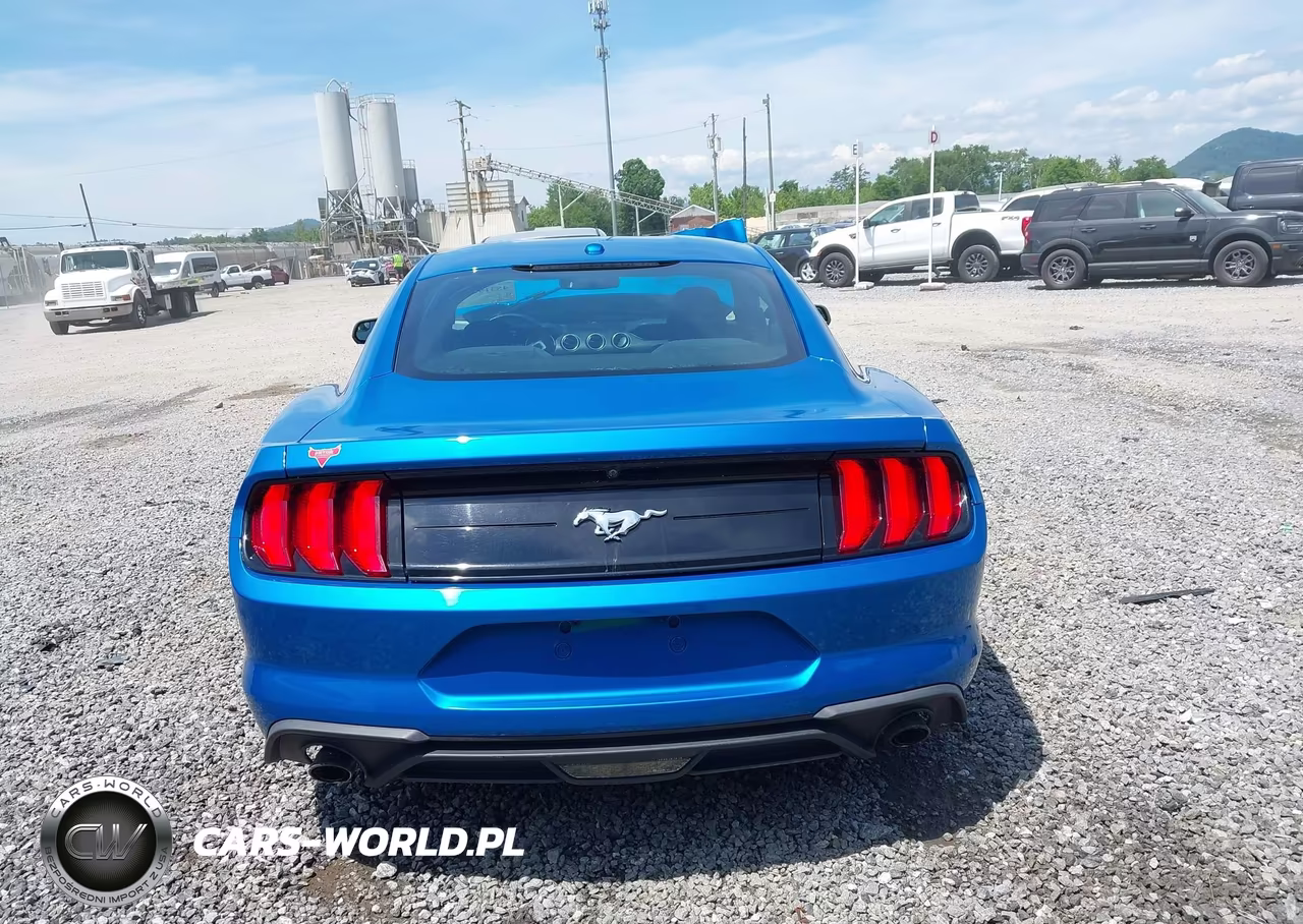 2019 Ford Mustang Ecoboost VIN:1FA6P8TH8K5204157 - 16