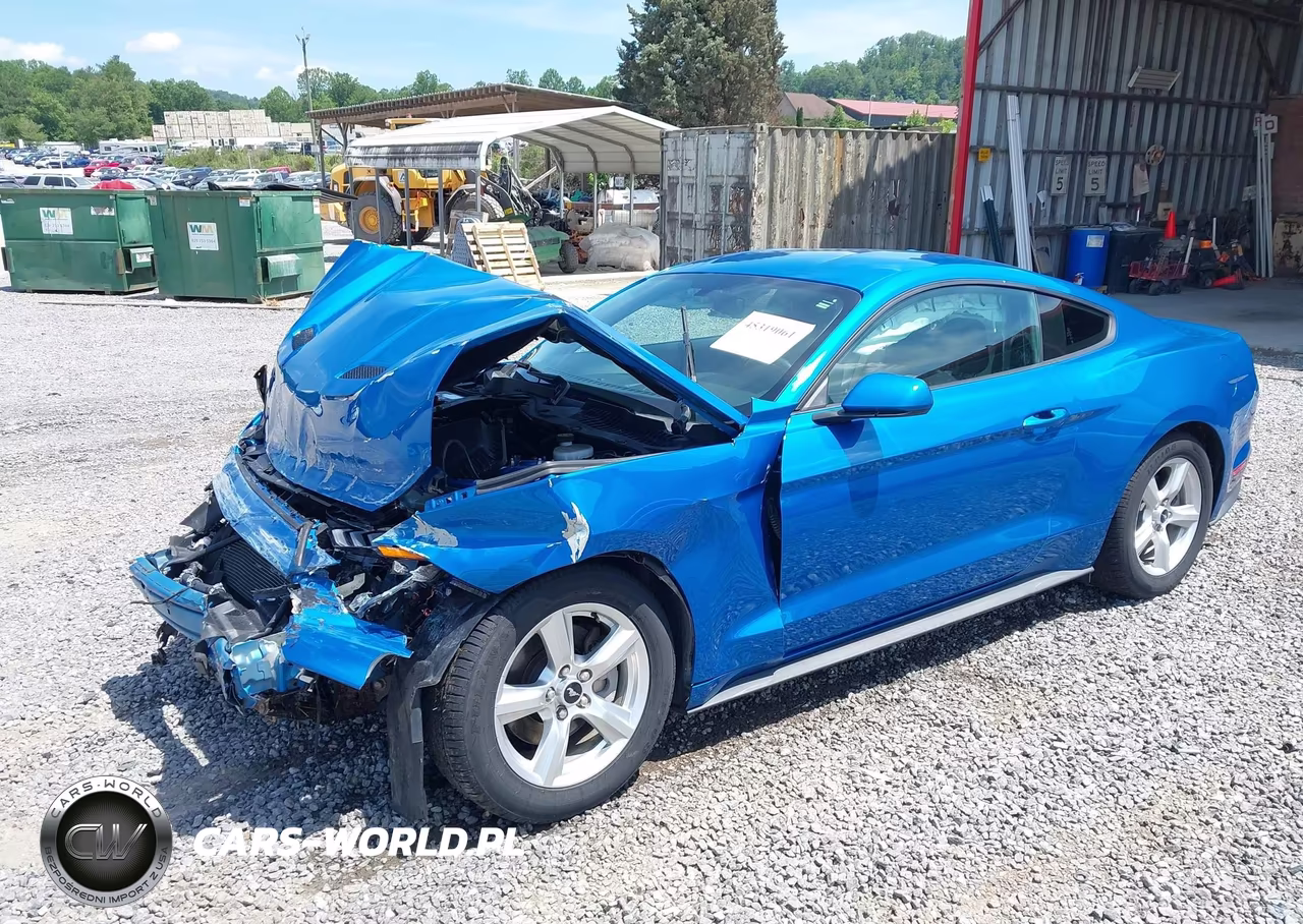 2019 Ford Mustang Ecoboost VIN:1FA6P8TH8K5204157 - 2